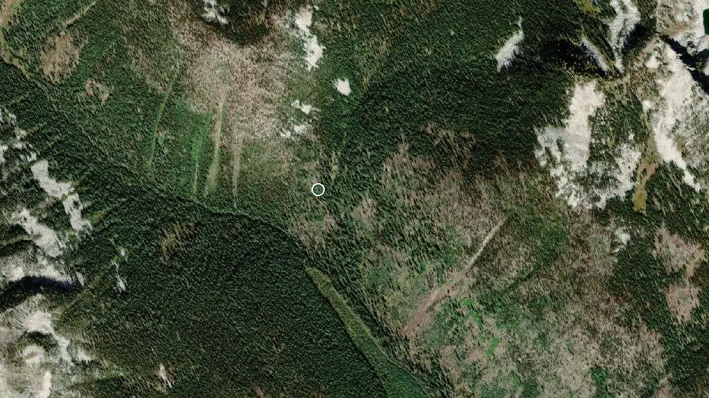 Aerial view of West Kokanee Cabin (Fudd Hut) and surroundings