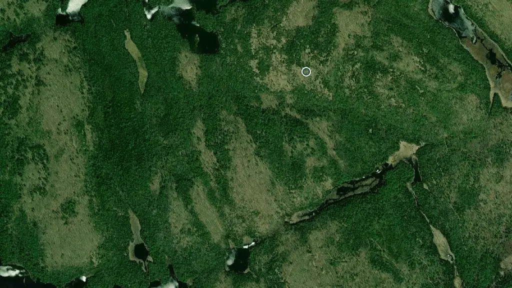 Aerial view of Pinetree Cabin and surroundings