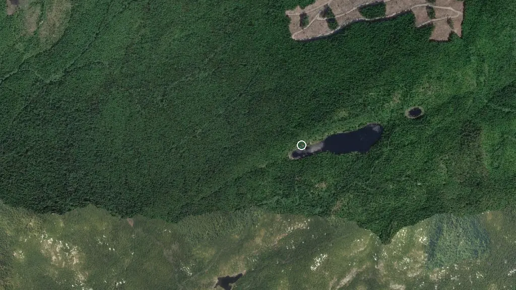 Aerial view of Elk Lake Cabin and surroundings