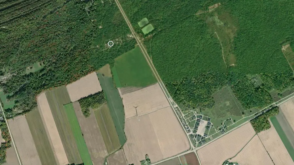 Aerial view of Silver Birches Park and surroundings
