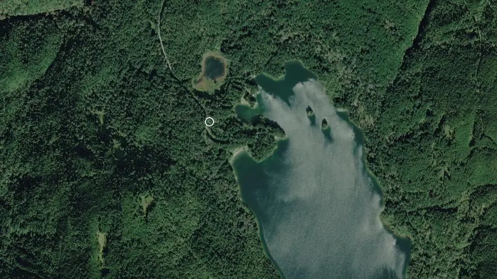 Aerial view of Hicks Lake and surroundings