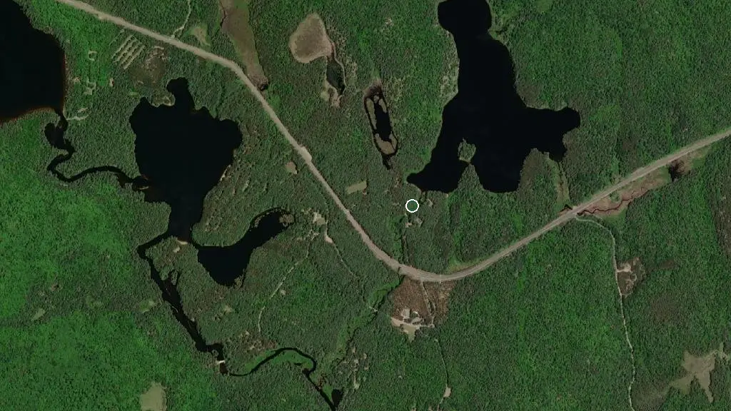 Aerial view of Kearney Lake Campground and surroundings