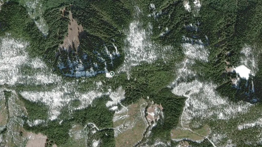 Aerial view of Tower Cabin and surroundings