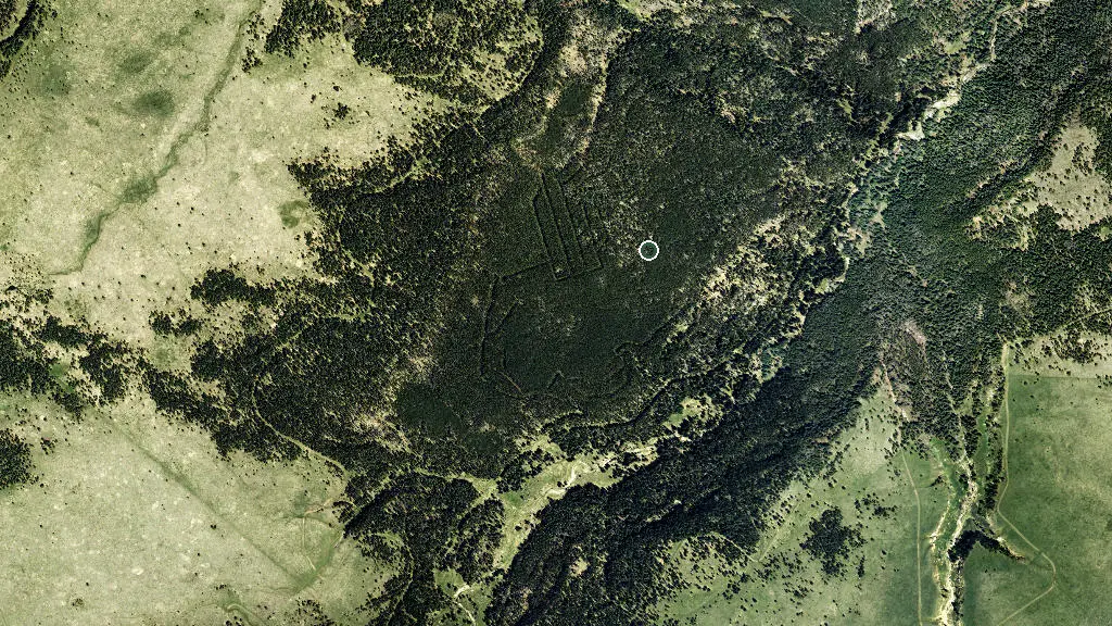 Cypress Hills Provincial Park