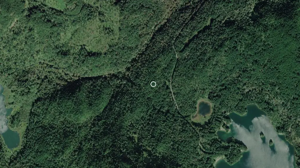 Aerial view of Sasquatch Provincial Park and surroundings