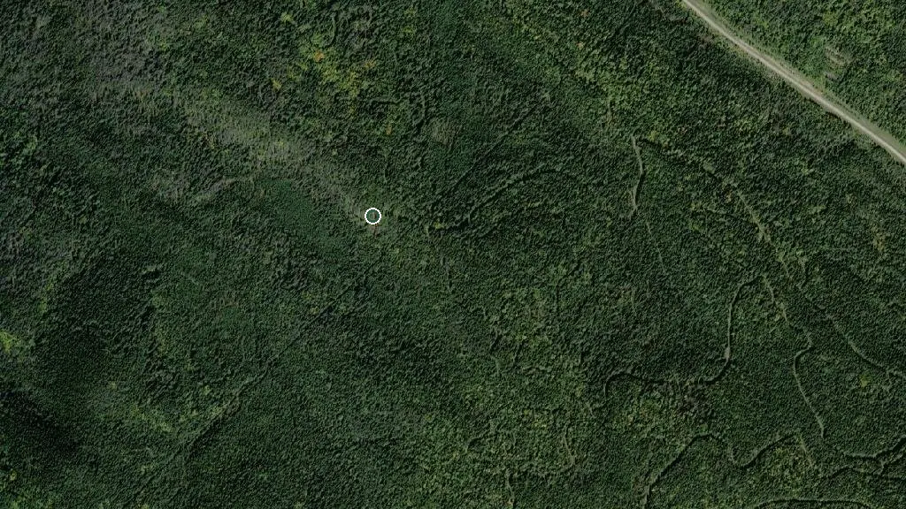 Aerial view of Lookout Cabin and surroundings