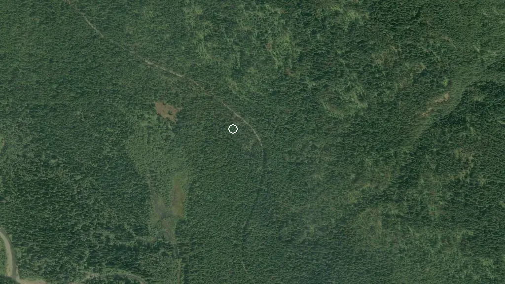 Aerial view of Whitworth Forest Horse Camp and surroundings