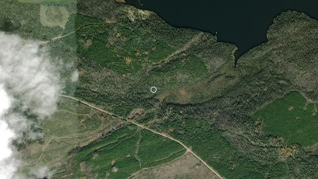 Aerial view of Finger Lake Wilderness Resort and surroundings