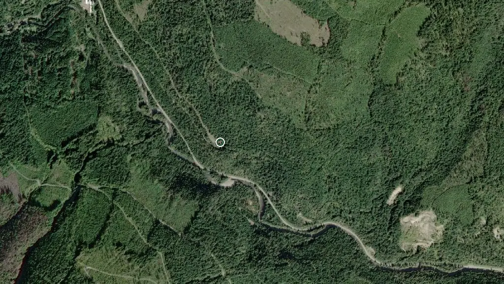 Aerial view of Moose Meadow Cabin and surroundings