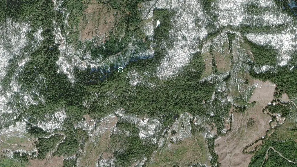 Aerial view of The Tea Hut and surroundings