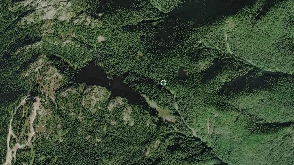 Aerial view of Mount Seymour Provincial Park and surroundings