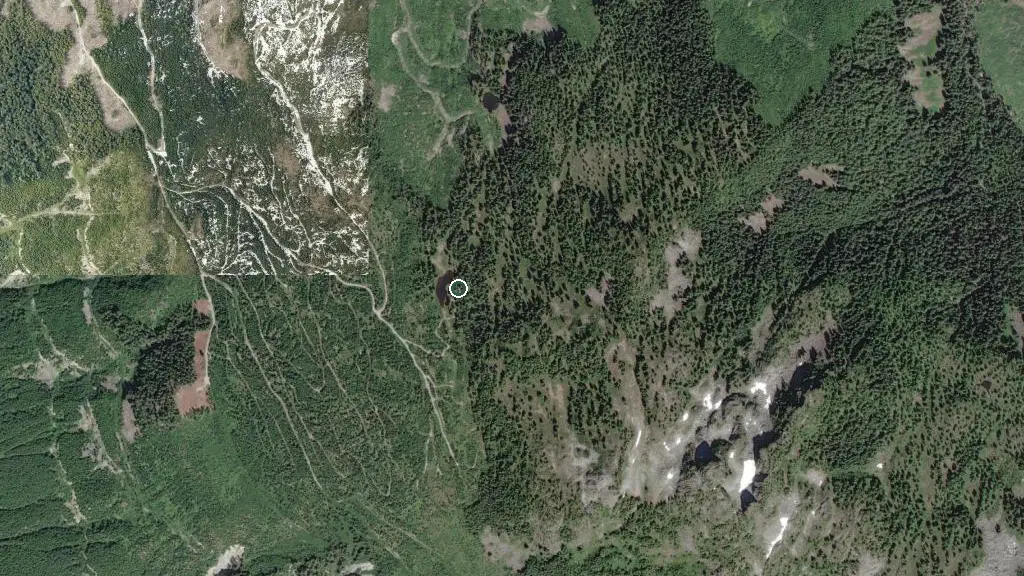 Alpen Cabin (Hidden Valley Cabin)