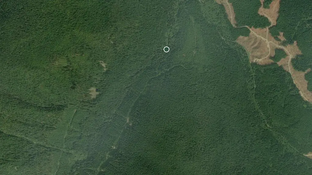 Aerial view of Creekside Cabin and surroundings