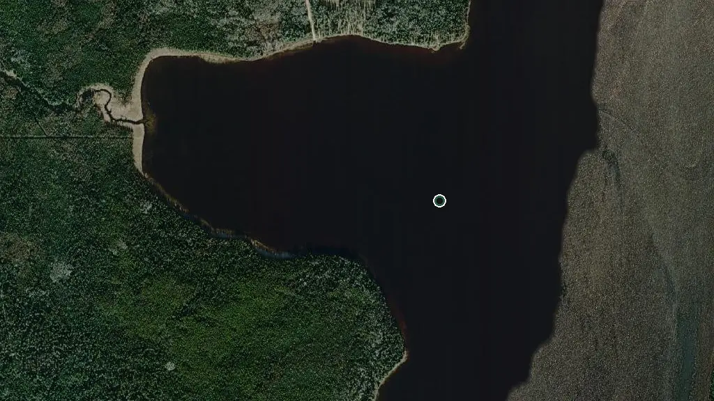 Aerial view of Musreau Lake Provincial Recreation Area and surroundings