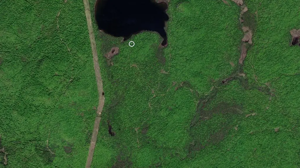 Aerial view of Walker Lake Cabin and surroundings