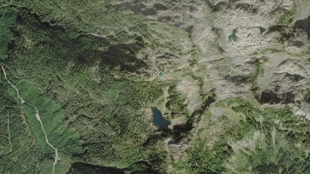 Hišimy̓awiƛ (Hi SHIM ya wit) (Vancouver Island Section)