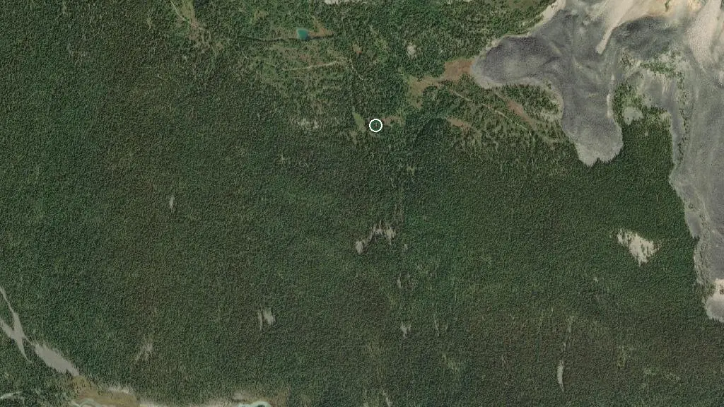 Switchback Backcountry Campsite