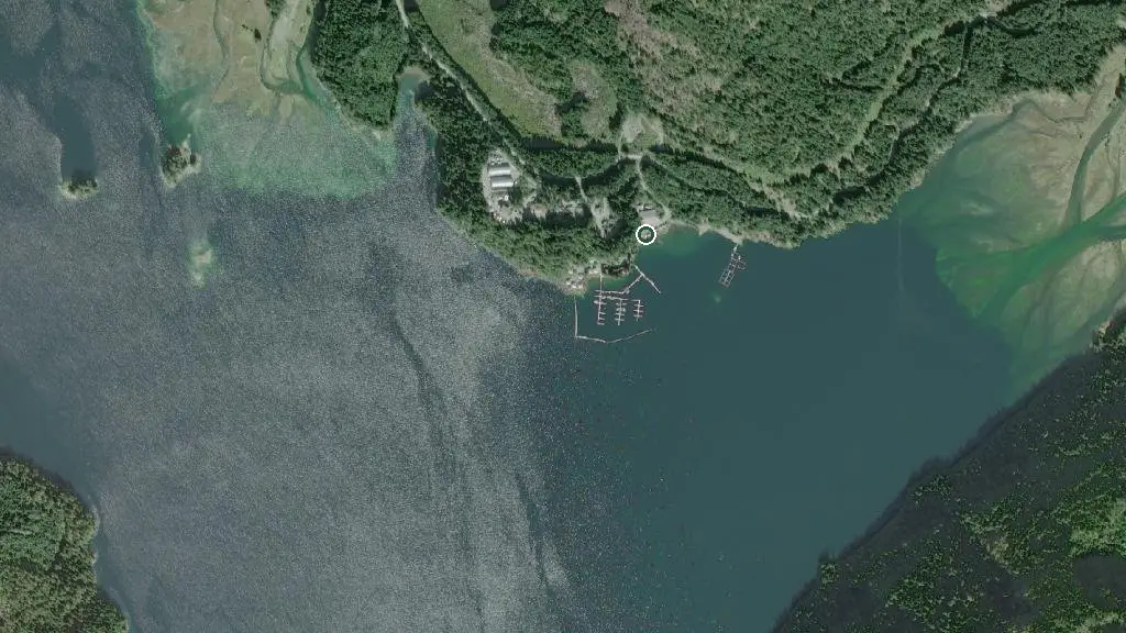 Aerial view of Nootka Marine Adventures and surroundings